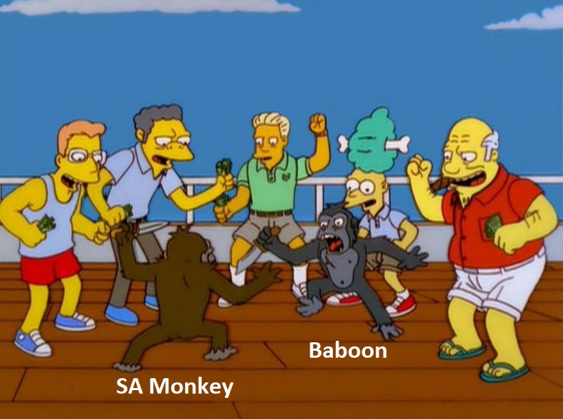 simpsons-monkey-fight-meme-template-6c3wu.jpg