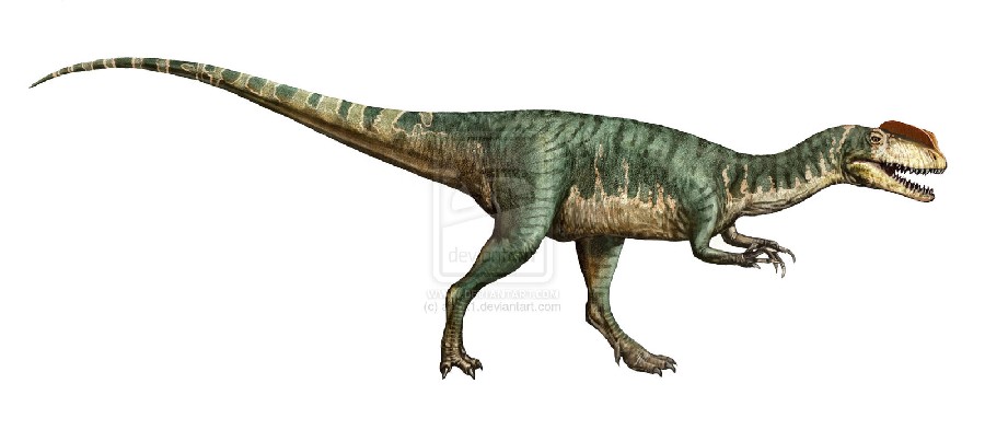 sinosaurus_triassicus_by_atrox1-d6yvyy7_05da.jpg