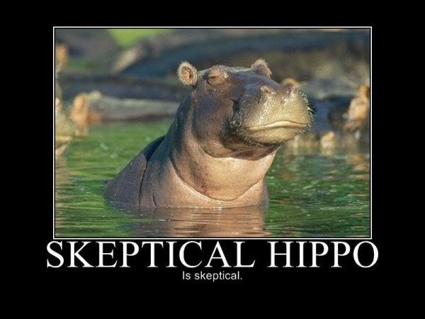 skeptical_hippo.jpeg