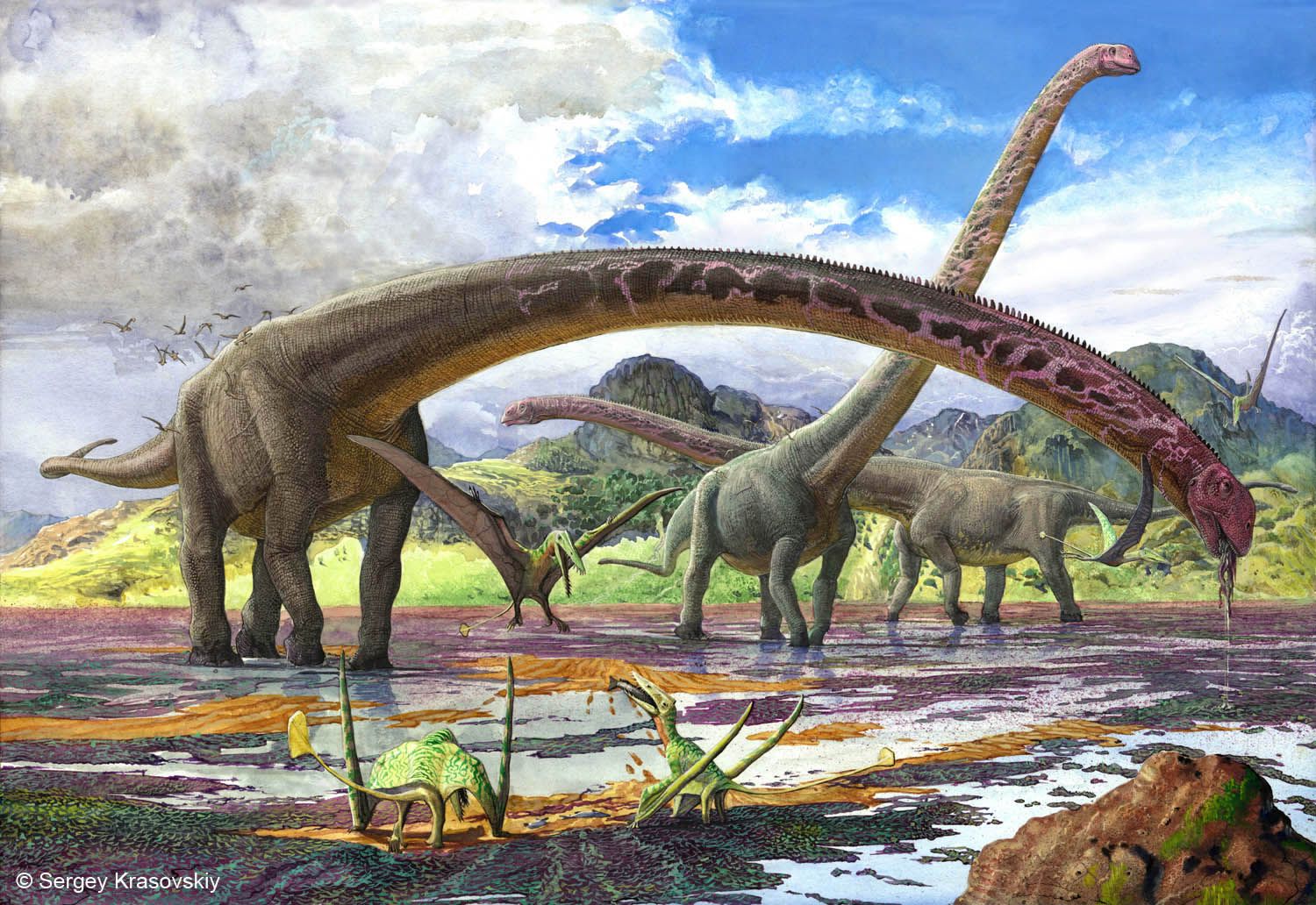 SKmamenchisaurus-56a2547b5f9b58b7d0c91d09.jpg