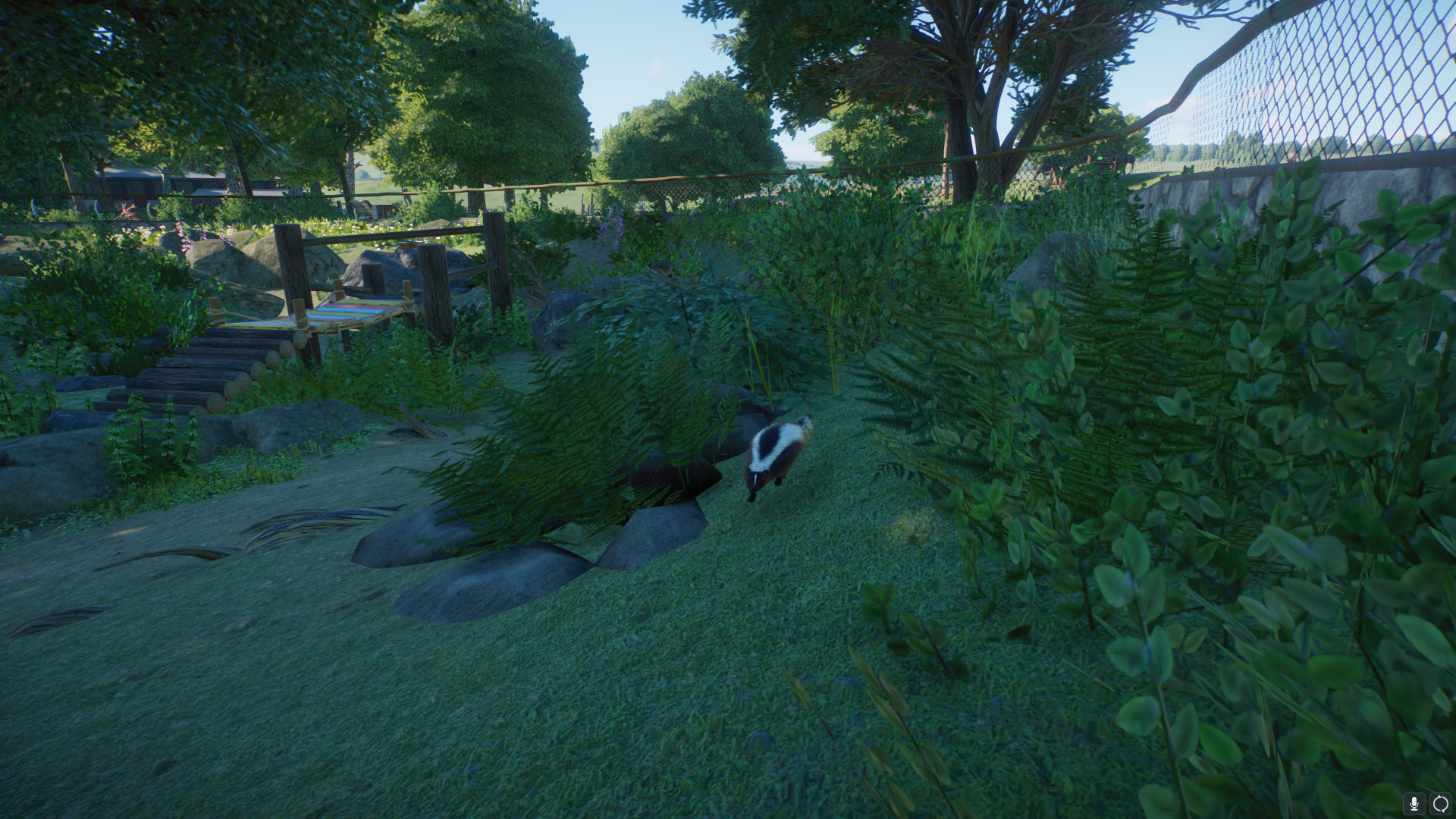 skunks.jpeg