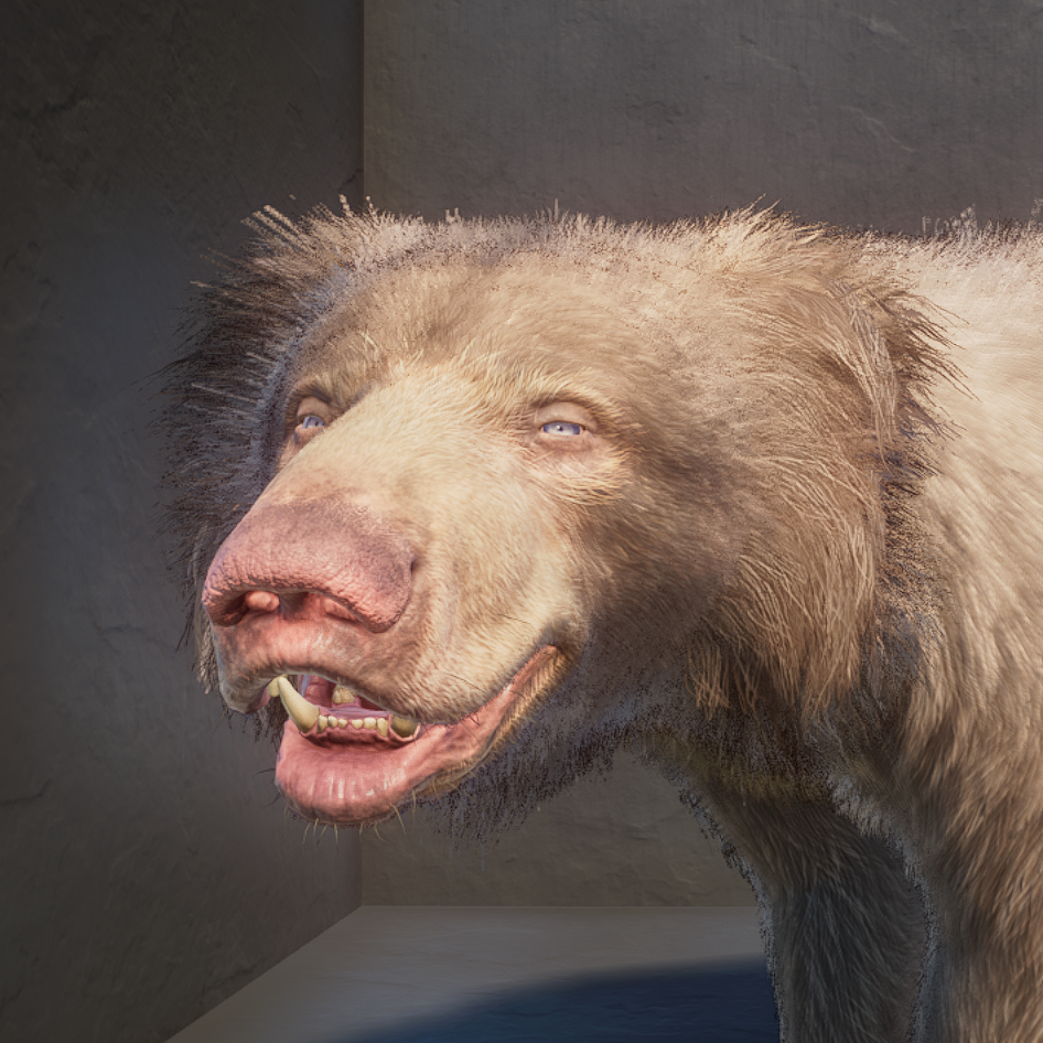 Sloth Bear Avatar (Albino).png