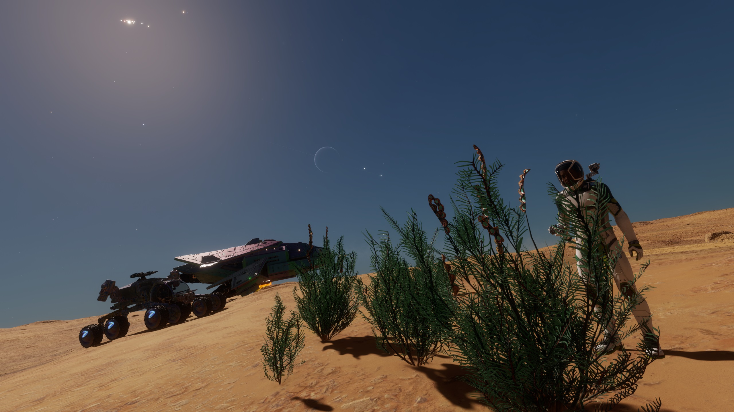 small moon frutexa.jpg