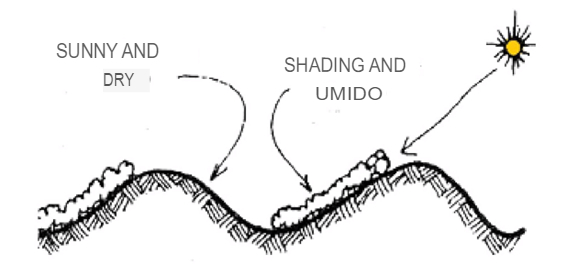 Solar orientation ray.translated.jpg
