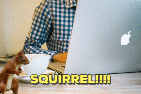 source (1).gif