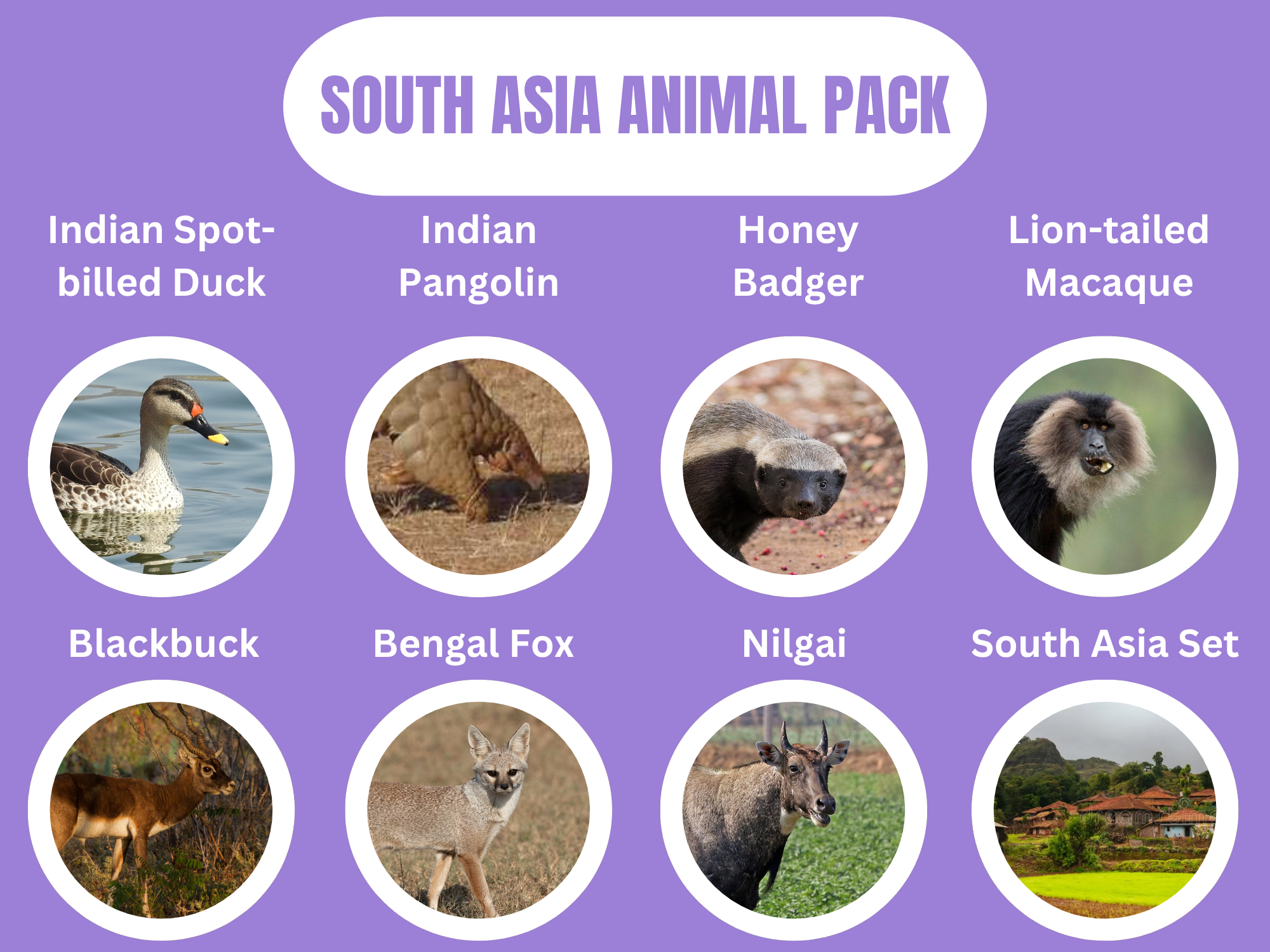 South Asia Animal Pack.png