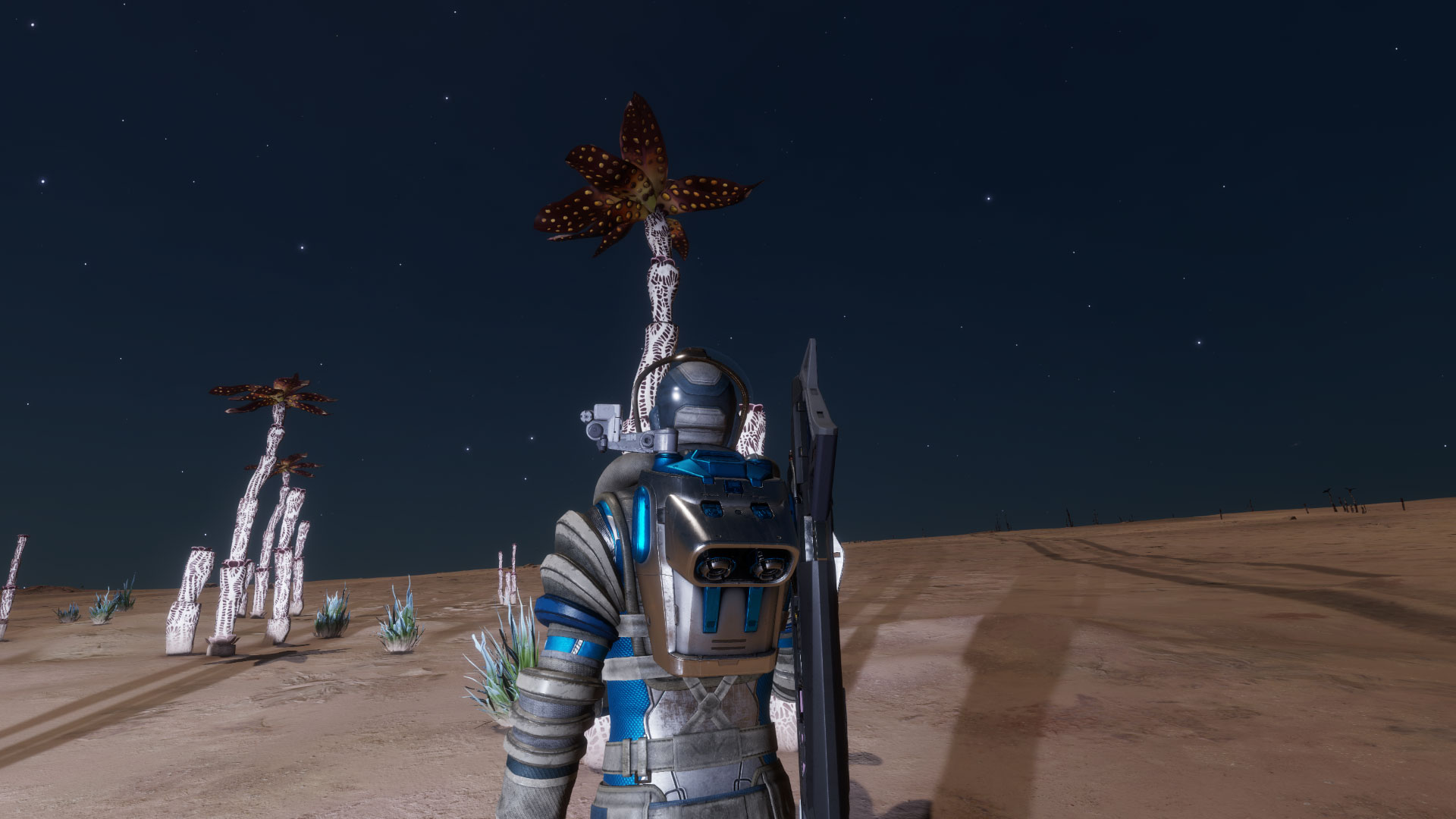 space-palm-tree.jpg