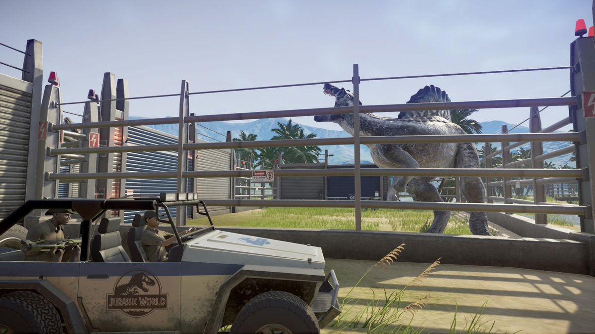 spino1.jpg