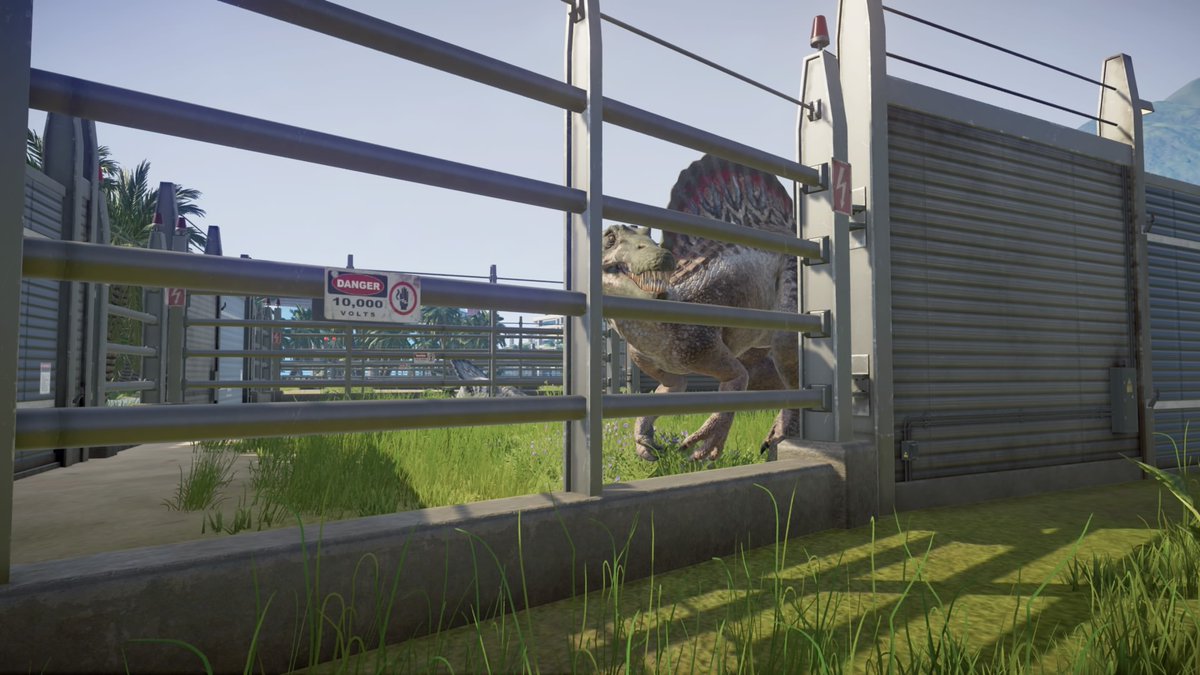 spino2.jpg