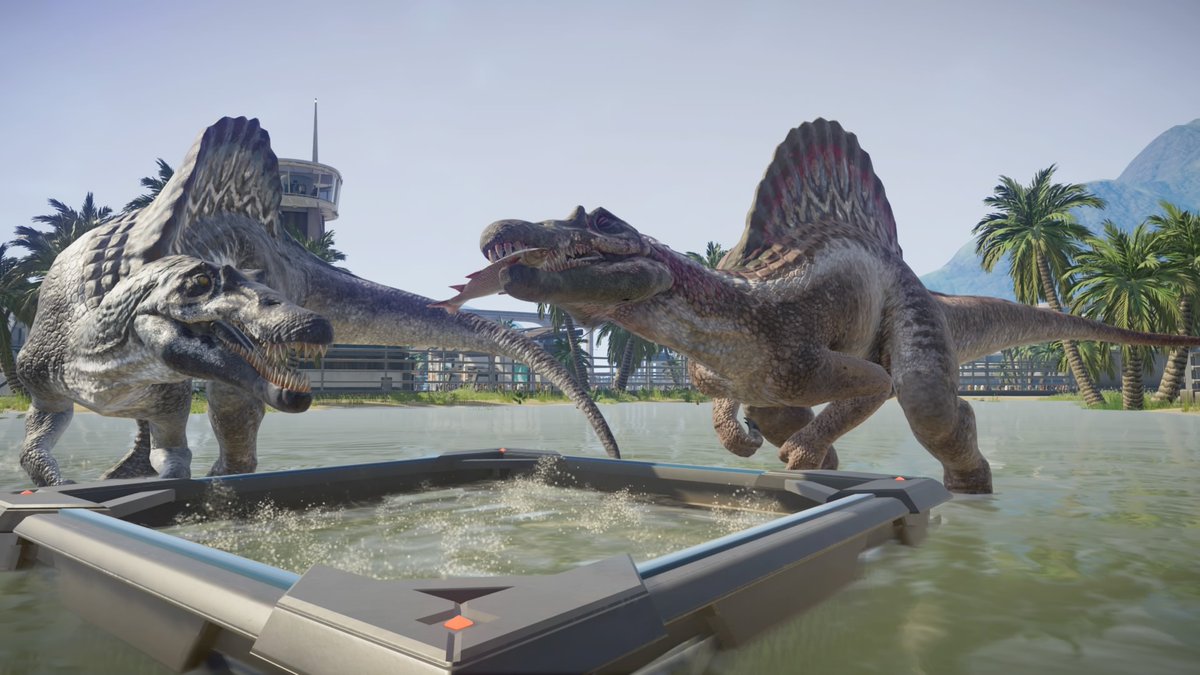 spino3.jpg