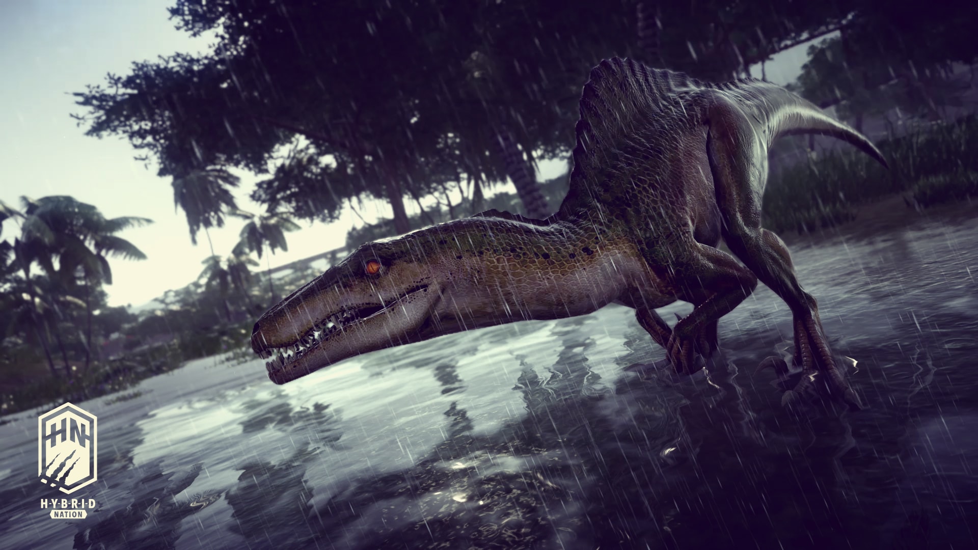 SPINO_01.jpg