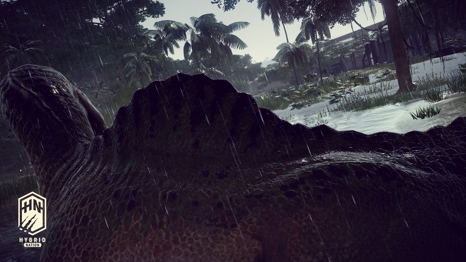 SPINO_03.jpg