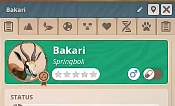 Springbok.png