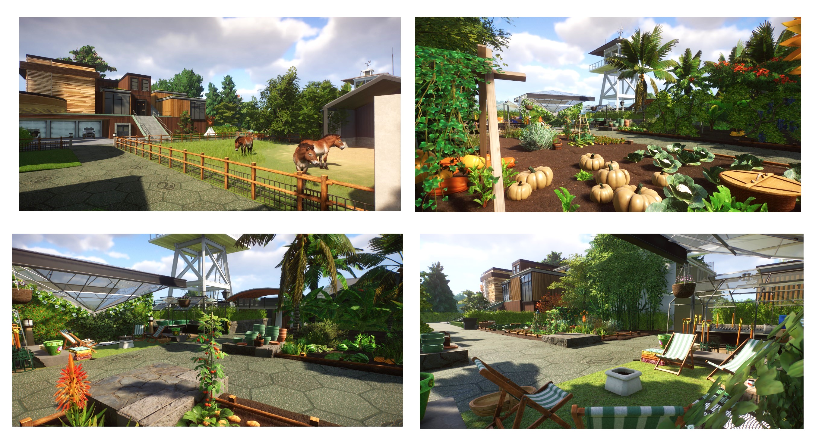staff area conservation zoo.jpg