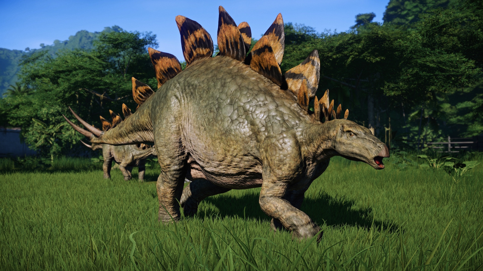 Stegosaurus.jpg