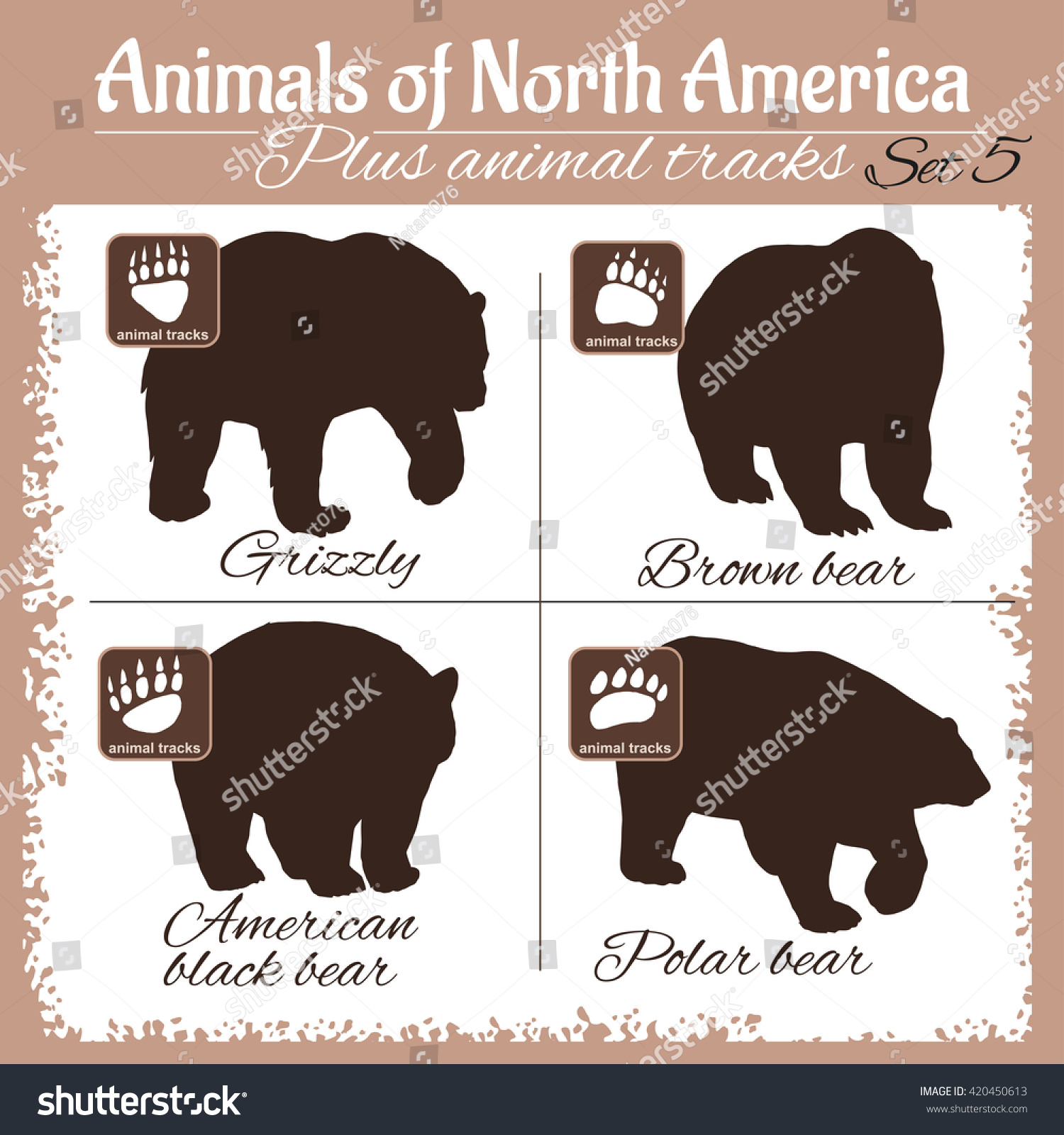 stock-vector-north-america-animals-and-animal-tracks-footprints-vector-set-420450613.jpg