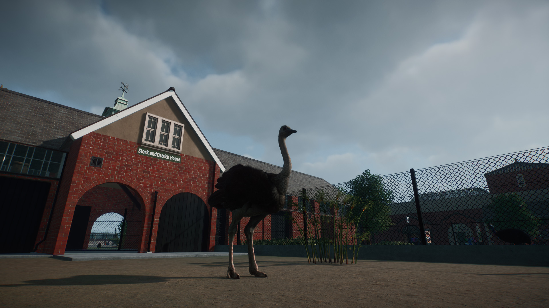 Stork-&-Ostrich-House.jpg