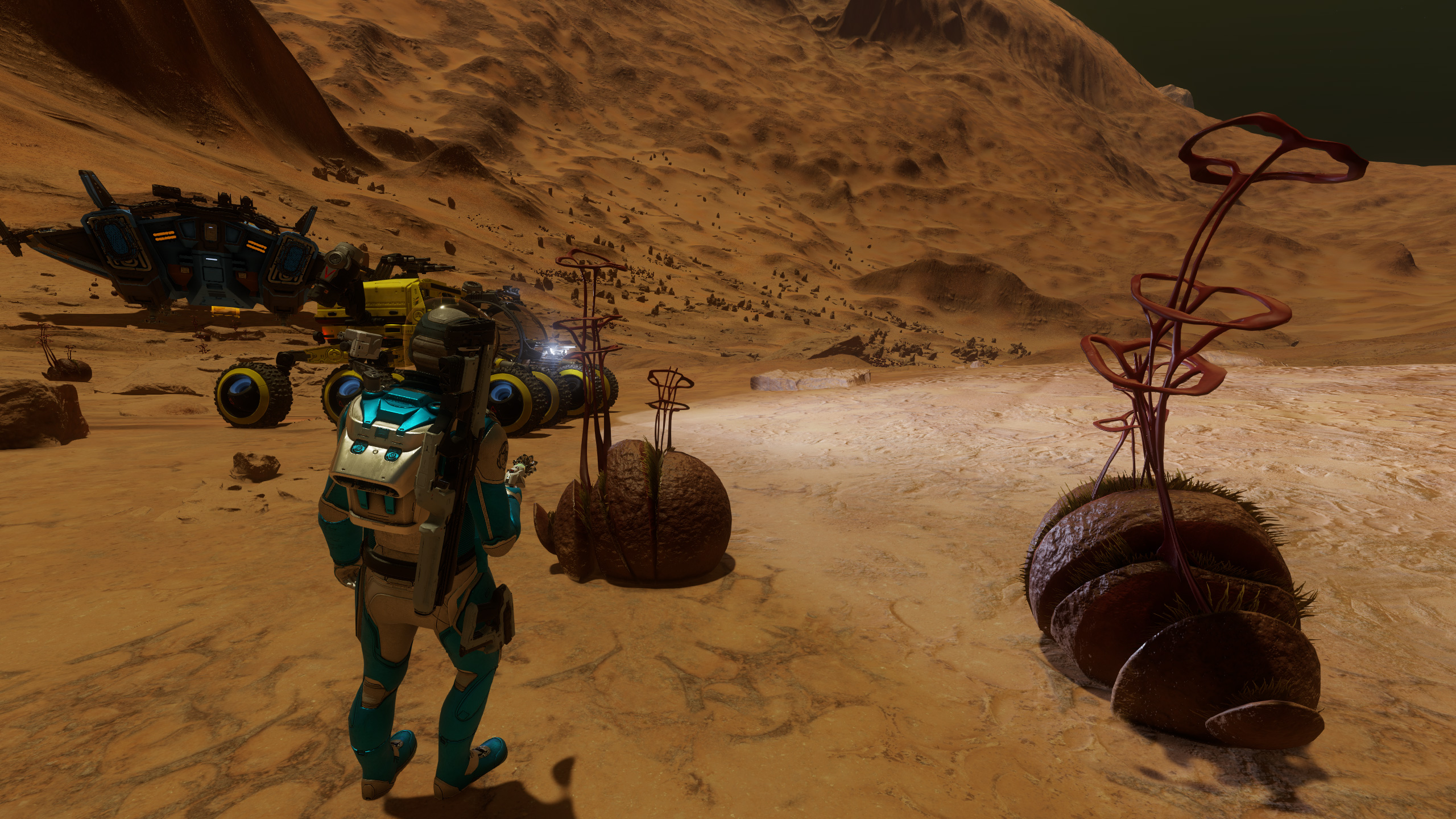 strange-looking-concha.jpg