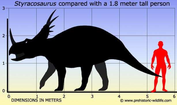 styracosaurus-size.jpg