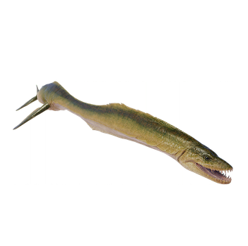 styxosaurus.png