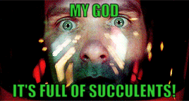 Succulents.gif