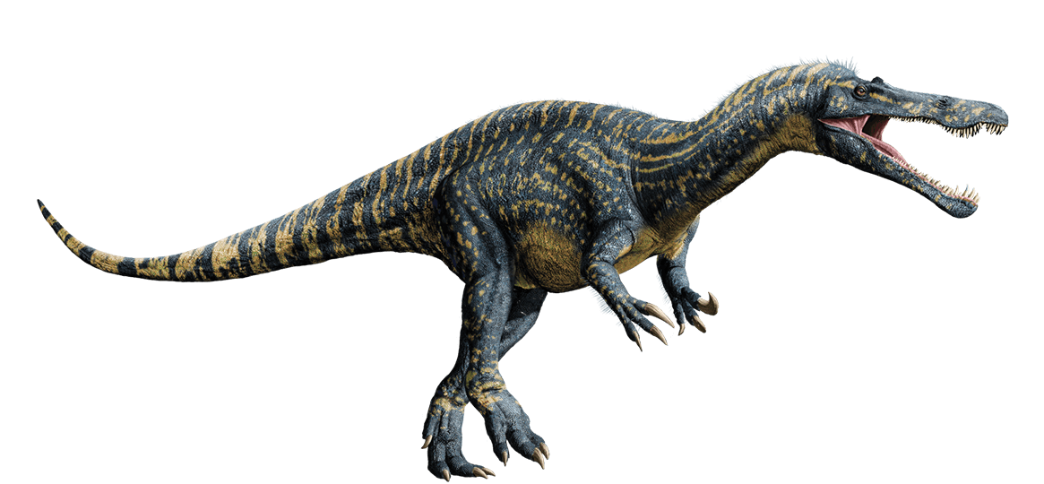 Suchomimus-detail-header.png