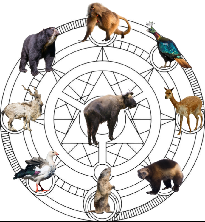 Summon.png