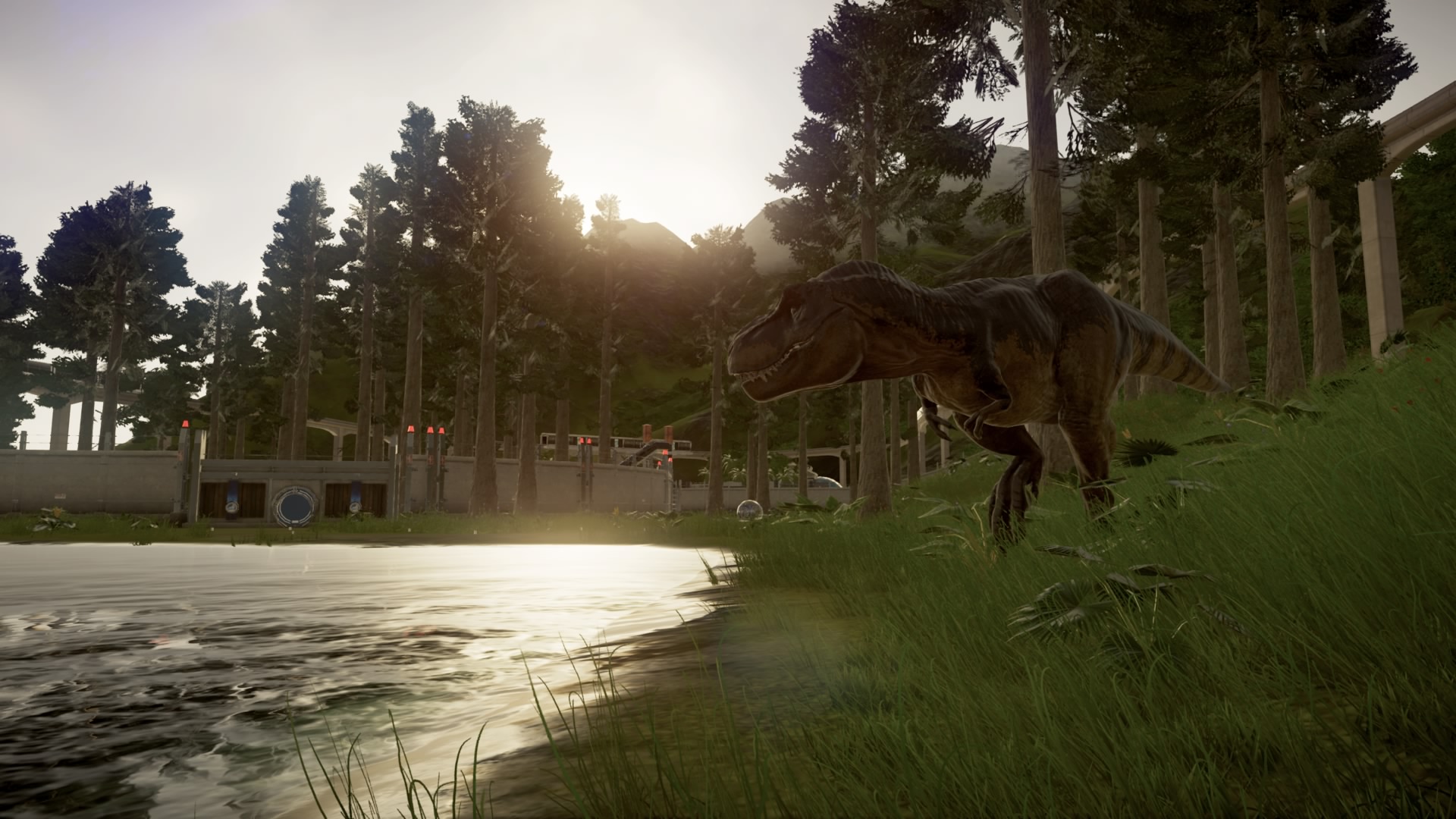 SunriseTrex.jpg