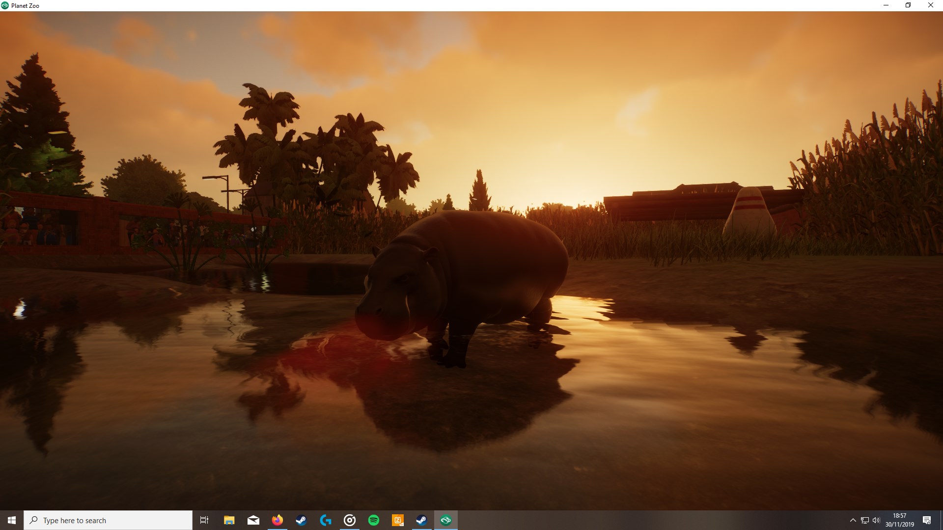 sunset.jpg