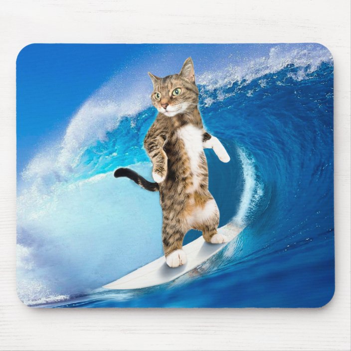 surfcat_surfing_cat_crazy_cat_mouse_pad-rb32f4933c5db465eac42f1b75645c55e_x74vi_8byvr_704.jpg