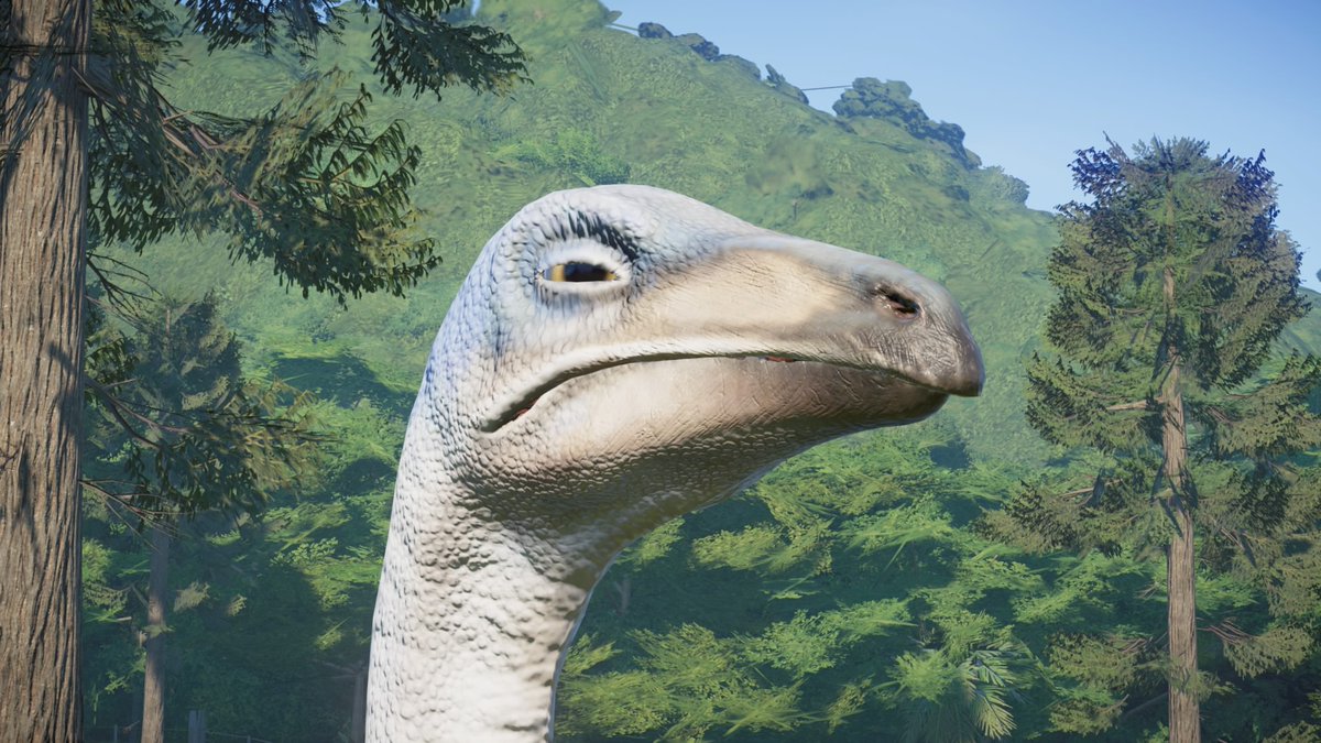 suspiciousstruthio2.jpg
