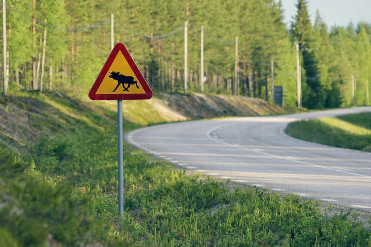 sweden-jokkmokk-elk-crossing-road-sign-at-country-road-BR000412.jpg