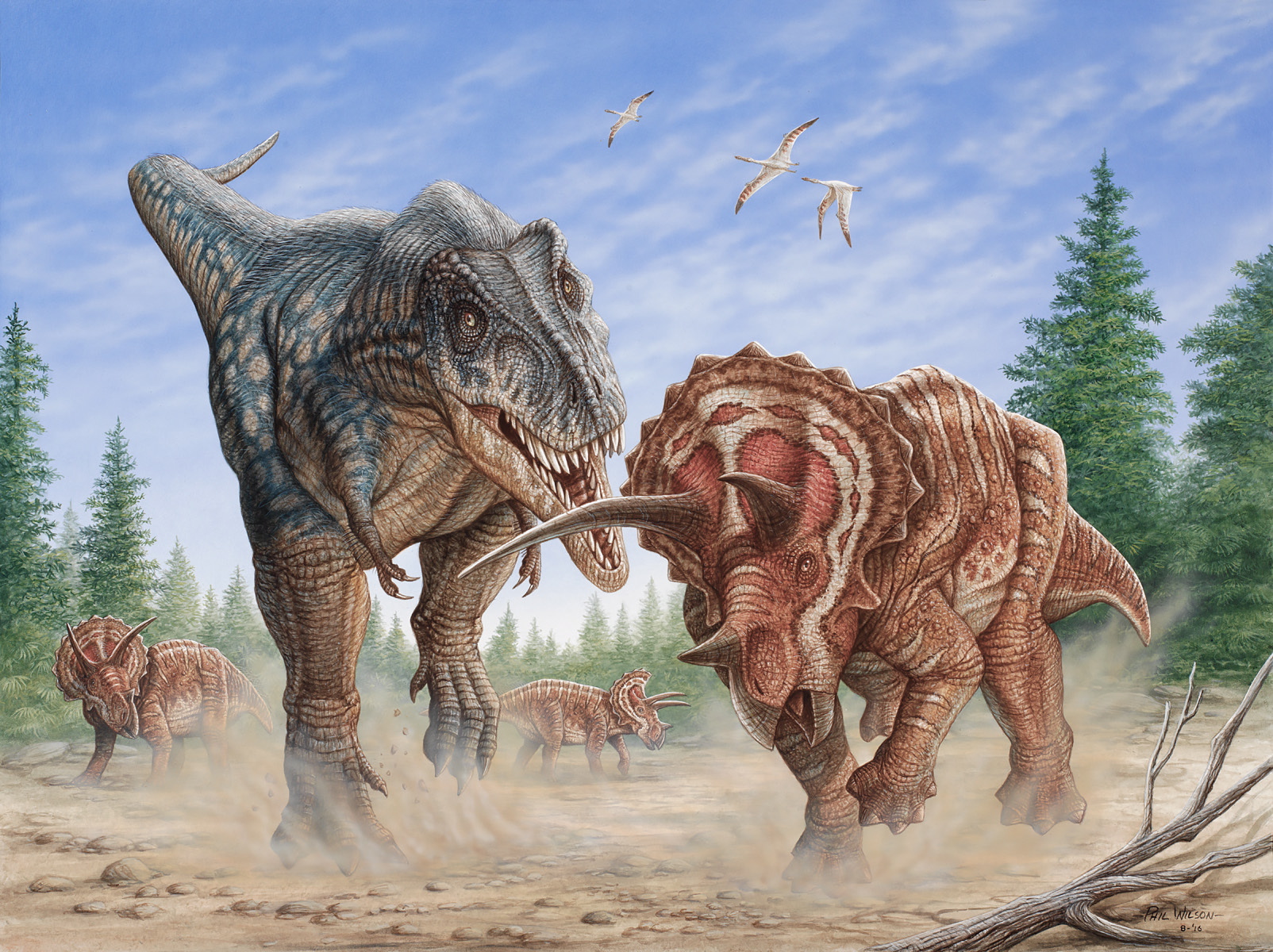 t-rex-vs-triceratops-s1.jpg