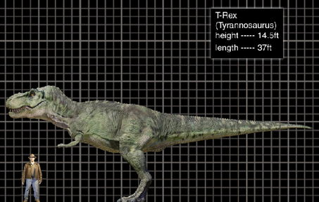 T-Rex_size.png