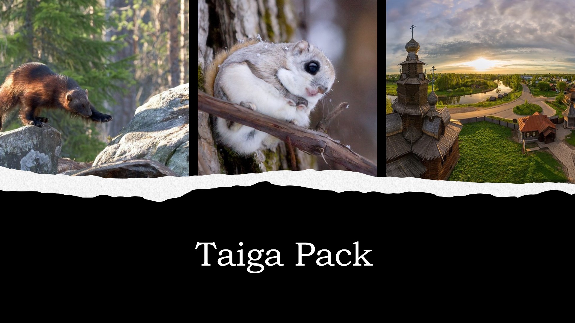 taiga-pack.jpg