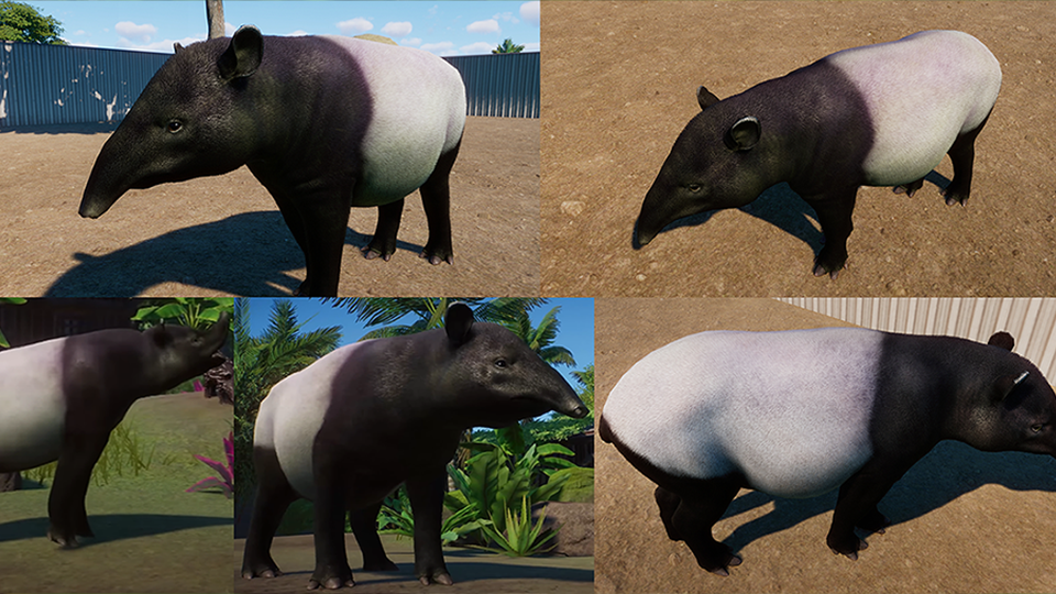 Tapir.png