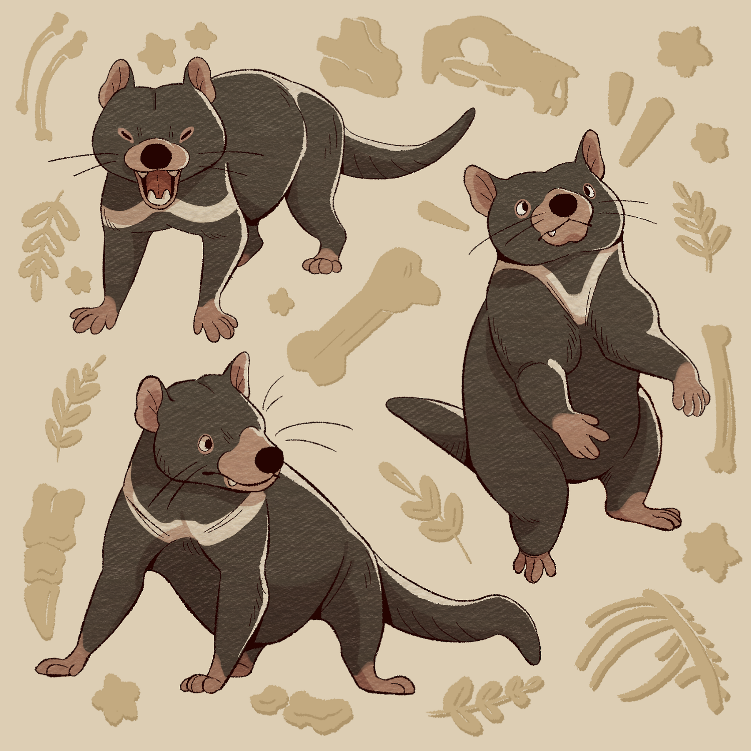 Tassie Devil.png