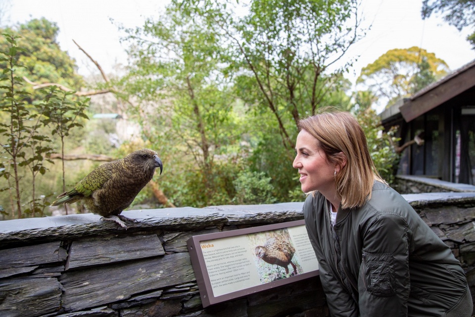 Te-Wao-Nui-auckland-zoo.jpg