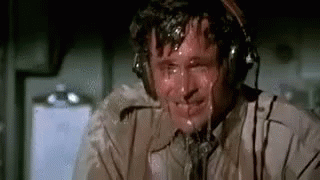 ted striker1.gif