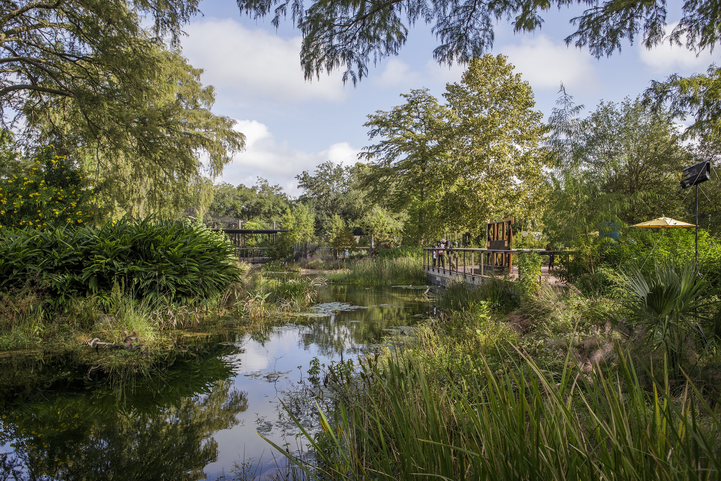 Tellepsen+Houston+Zoo+I-9156+w.jpg