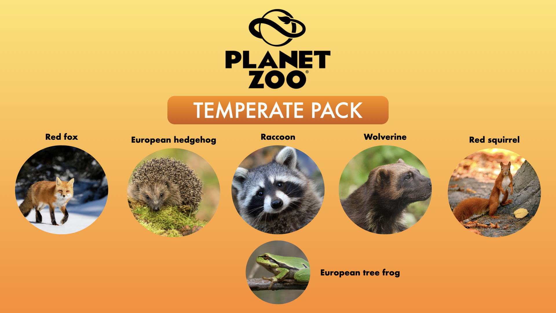 temparate pack.001.jpeg