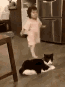 tenor (1).gif