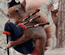 tenor (3).gif
