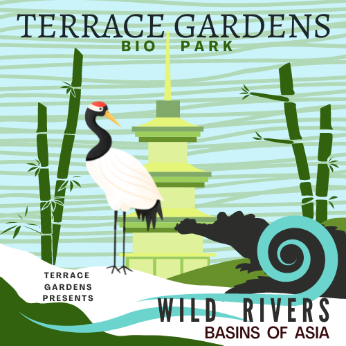 terrace biopark asias basins poster canva.png