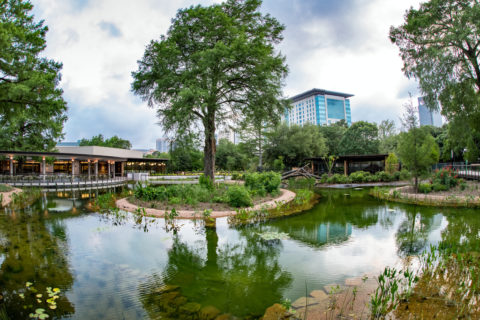 texas-wetlands-goodnews-blog-480x320.jpg
