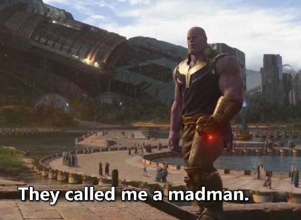 Thanos-they-called-me-a-madman-meme-5.jpg