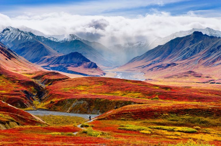 The-Alaskan-Tundra-Alaska-USA-768x507.jpg