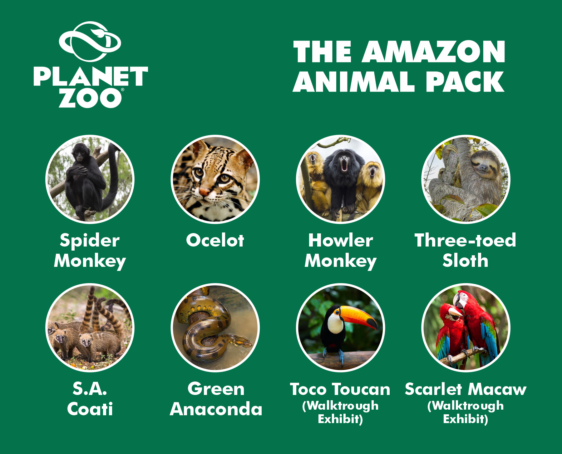 the amazon animal pack.png