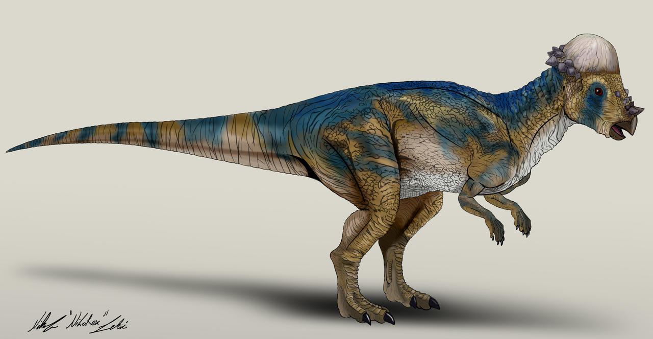 the_lost_world_jurassic_park_pachycephalosaurus_by_nikorex_dcxob71-fullview.jpg