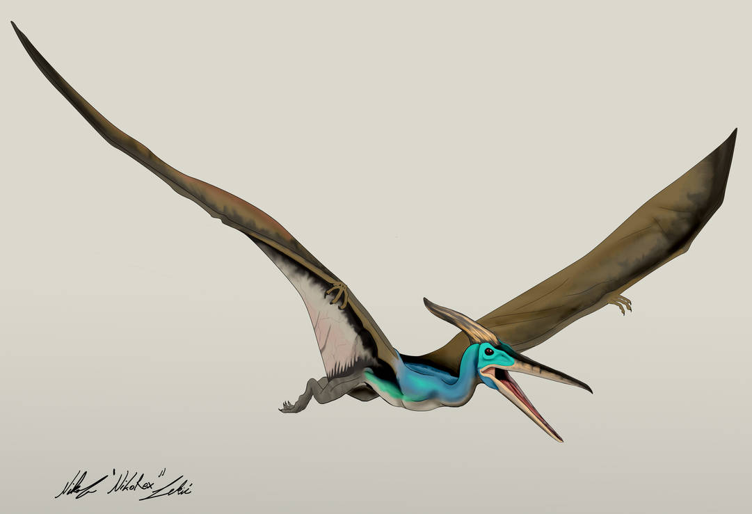 the_lost_world_jurassic_park_pteranodon_by_nikorex_dd0pdny-pre.jpg
